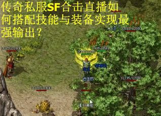 传奇私服SF合击直播如何搭配技能与装备实现最强输出？