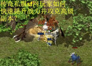 传奇私服sf网玩家如何快速提升战力并攻克高级副本？