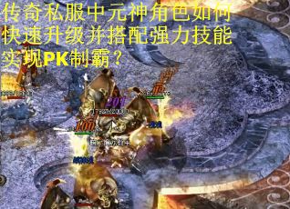 传奇私服中元神角色如何快速升级并搭配强力技能实现PK制霸？
