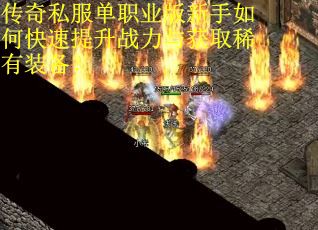 传奇私服单职业版新手如何快速提升战力与获取稀有装备？