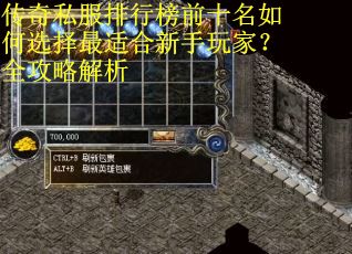 传奇私服排行榜前十名如何选择最适合新手玩家？全攻略解析