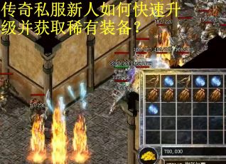 传奇私服新人如何快速升级并获取稀有装备？
