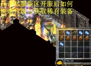 传奇私服新区开服后如何快速升级与获取稀有装备？
