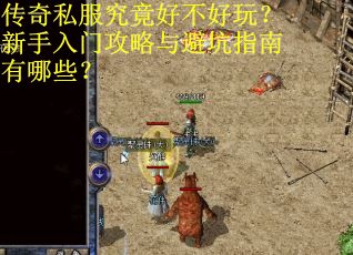 传奇私服究竟好不好玩？新手入门攻略与避坑指南有哪些？