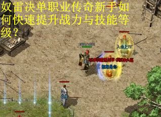 奴雷决单职业传奇新手如何快速提升战力与技能等级？