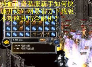 热血传奇私服新手如何快速升级?网易官方下载版本攻略技巧全解析? 热血传奇私服新手如何快速升级?网易官方下载版本攻略技巧全解析?