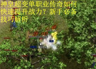 神皇超变单职业传奇如何快速提升战力?新手必备技巧解析 神皇超变单职业传奇如何快速提升战力?新手必备技巧解析