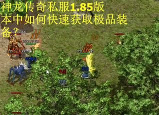 神龙传奇私服1.85版本中如何快速获取极品装备? 神龙传奇私服1.85版本中如何快速获取极品装备?