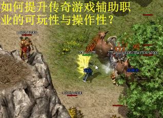 如何提升传奇游戏辅助职业的可玩性与操作性? 如何提升传奇游戏辅助职业的可玩性与操作性?
