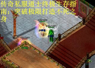 传奇私服道士终极生存指南：突破极限打造不死之身