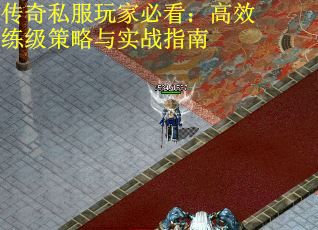 传奇私服玩家必看：高效练级策略与实战指南