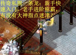 传奇私服一条龙：新手快速入门，老手进阶称霸，有没有大神指点迷津？