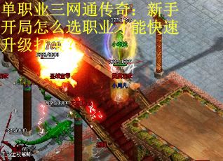 单职业三网通传奇：新手开局怎么选职业才能快速升级打宝？