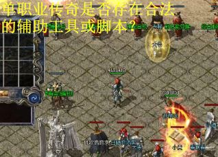 单职业传奇是否存在合法的辅助工具或脚本？