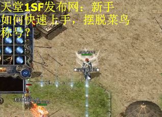 天堂1SF发布网：新手如何快速上手，摆脱菜鸟称号？