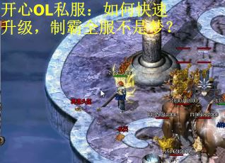 开心OL私服：如何快速升级，制霸全服不是梦？
