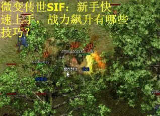 微变传世SIF：新手快速上手，战力飙升有哪些技巧？