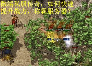 微端私服传奇：如何快速提升战力，称霸服务器？