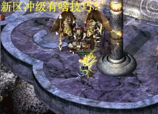 新区冲级有啥技巧？