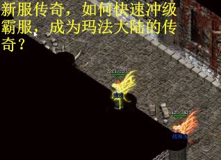 新服传奇，如何快速冲级霸服，成为玛法大陆的传奇？