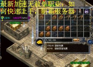 最新加速无赦单职业：如何快速上手，制霸服务器？