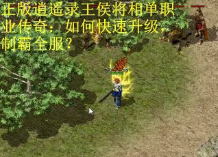 正版逍遥录王侯将相单职业传奇：如何快速升级，制霸全服？