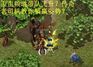 歪歪频道带队飞升？传奇老司机教你躺赢姿势？