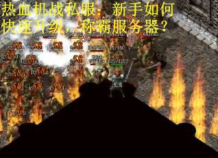 热血机战私服：新手如何快速升级，称霸服务器？