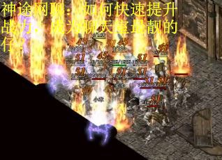 神途网聊：如何快速提升战力，成为聊天室最靓的仔？