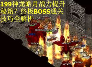 199神龙皓月战力提升秘籍？终极BOSS通关技巧全解析