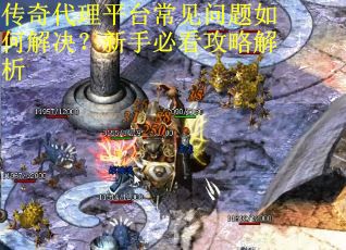 传奇代理平台常见问题如何解决？新手必看攻略解析