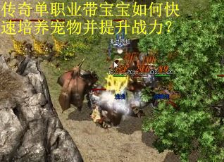 传奇单职业带宝宝如何快速培养宠物并提升战力？