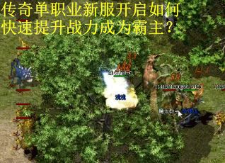 传奇单职业新服开启如何快速提升战力成为霸主？