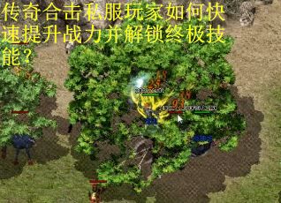 传奇合击私服玩家如何快速提升战力并解锁终极技能？