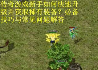 传奇游戏新手如何快速升级并获取稀有装备？必备技巧与常见问题解答