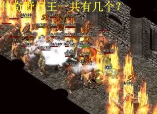 传奇野尸王一共有几个? 传奇野尸王一共有几个?