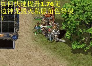 如何快速提升1.76无边神龙毁灭私服角色等级？